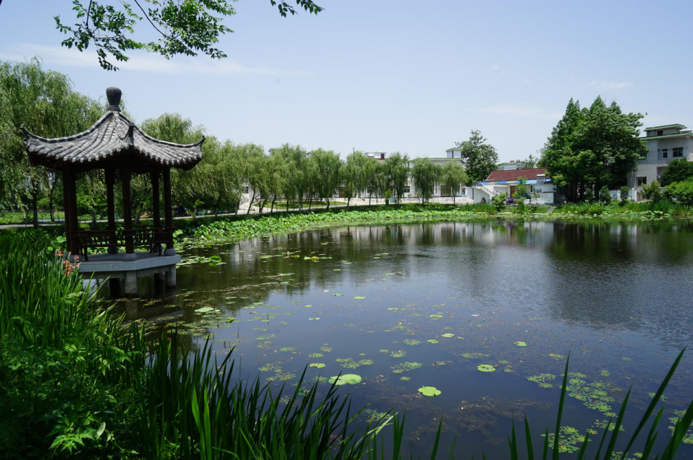微信截圖_20200520092806.png